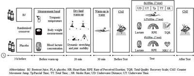 Effects of beetroot juice intake on repeated performance of competitive swimmers